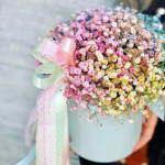 Коробка 9 веток радужной гипсофилы
