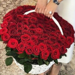 101 красная роза в белой корзине 101 красная роза в белой корзине