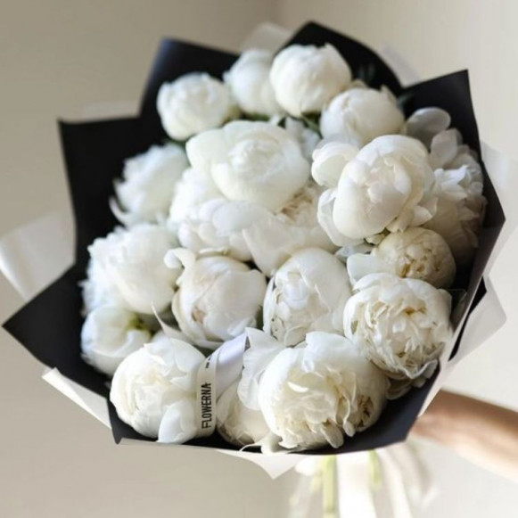 15 белых пионов в черной бумаге