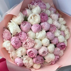 35 белых и розовых пионов с упаковкой