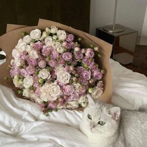 51 пионовидная роза белая и сиреневая