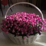 Корзина 201 кустовая пионовидная роза Корзина 201 кустовая пионовидная роза