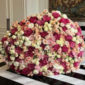 251 кустовая роза