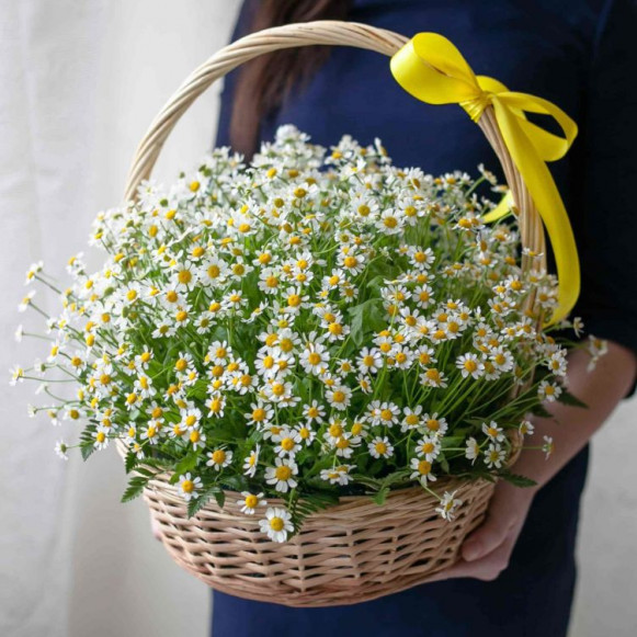 Корзина 51 ветка кустовой ромашки