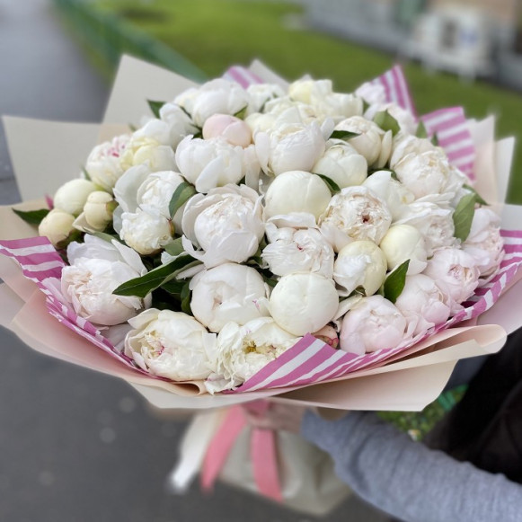 Букет 51 белый пион с розовой упаковкой