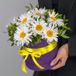 Коробка 9 крупных ромашек в коробке с лентами Коробка 9 крупных ромашек в коробке с лентами