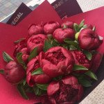 11 красных пионов с упаковкой